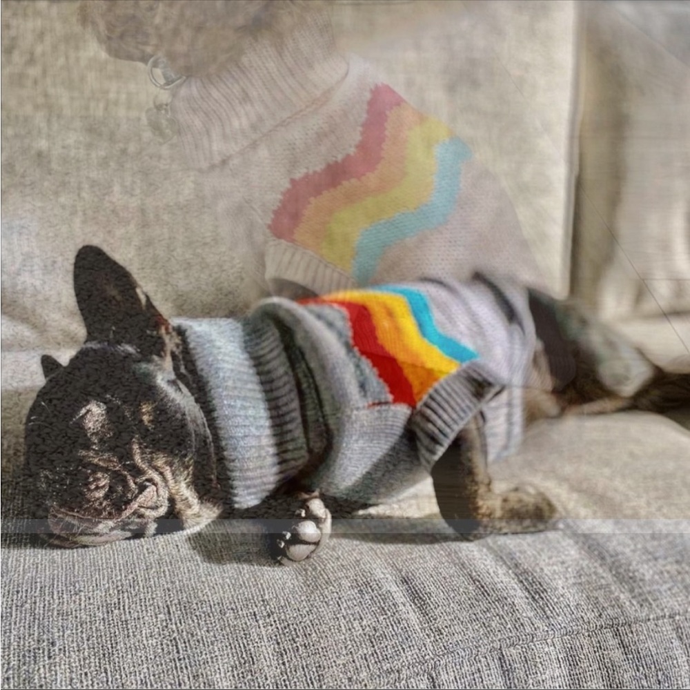 🐾 GF PET Authentic Multicolor Summit Sweater - Picture 9 of 11